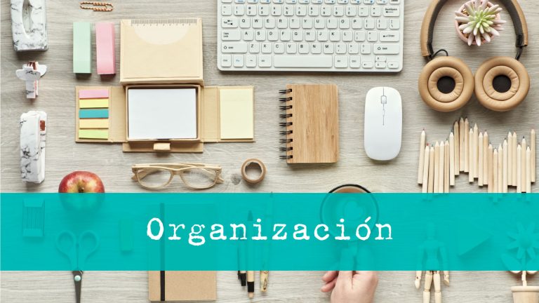 Catálogo de organización